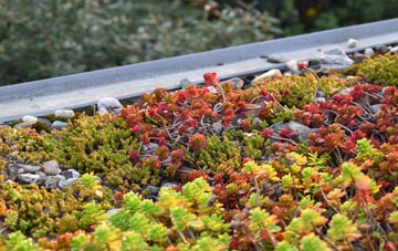the cost of Blaen Waun green roof installation