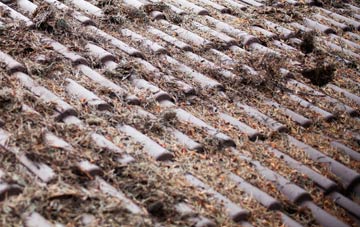 Blaen Waun roof cleaning companies